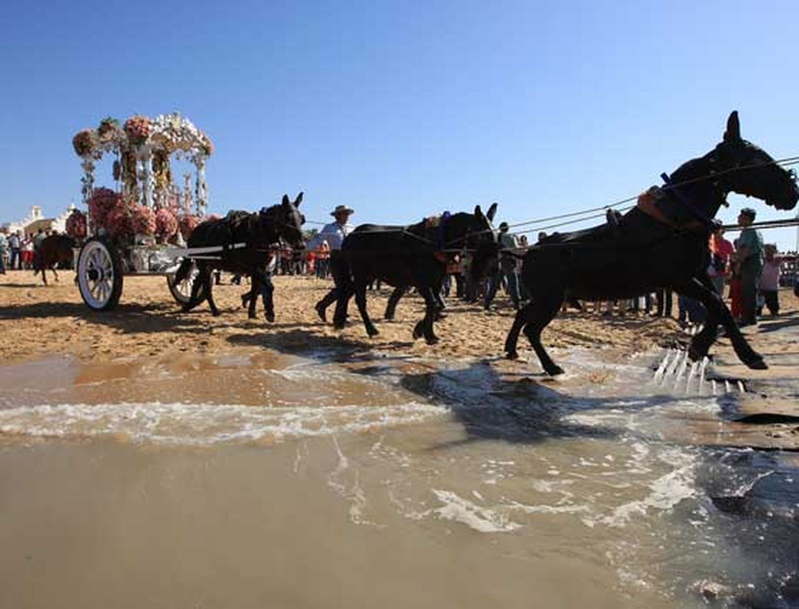 Por cuestiones de seguridad-, la mayor parte de los peregrinos que acompañaban al Simpecado no pudieron hacerlo en el embarque de la carreta. 

Foto: Juan Carlos Toro