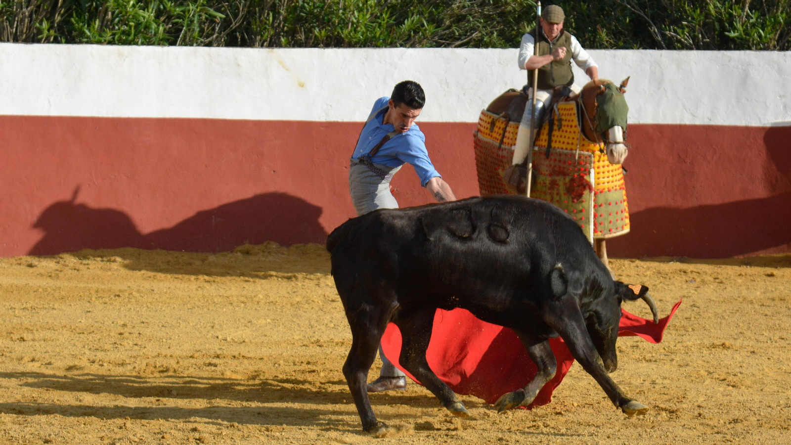 Tentadero con Talavante en la finca La Palmosilla
