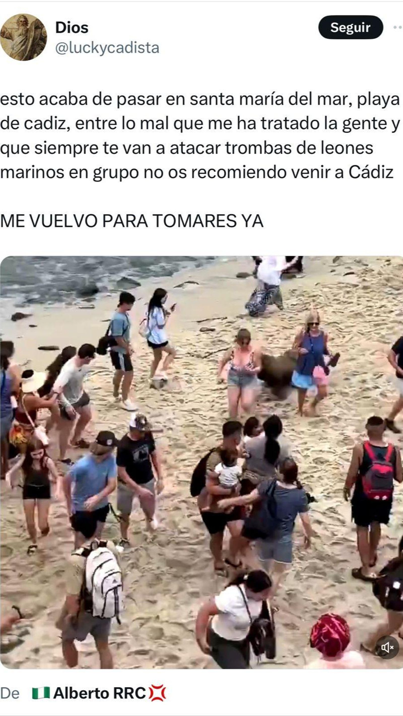 El tuit sobre la supuesta aparición de leones marinos en Cádiz.