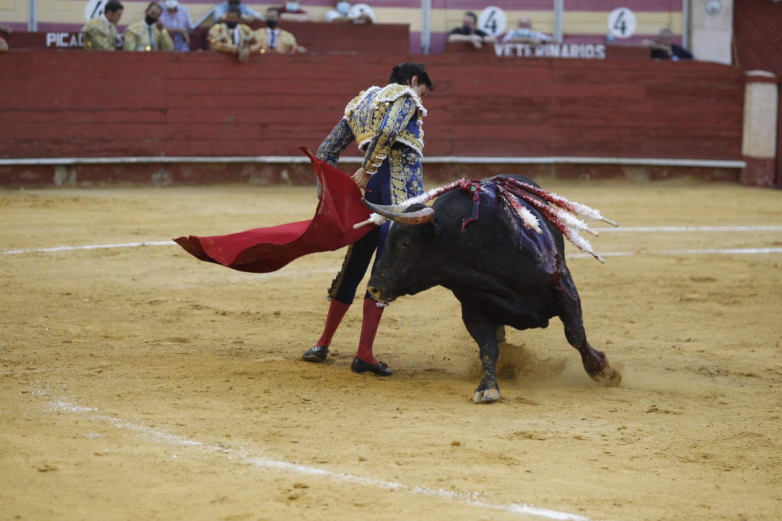 Fotogalería segunda corrida de toros Feria de Almeria 2021