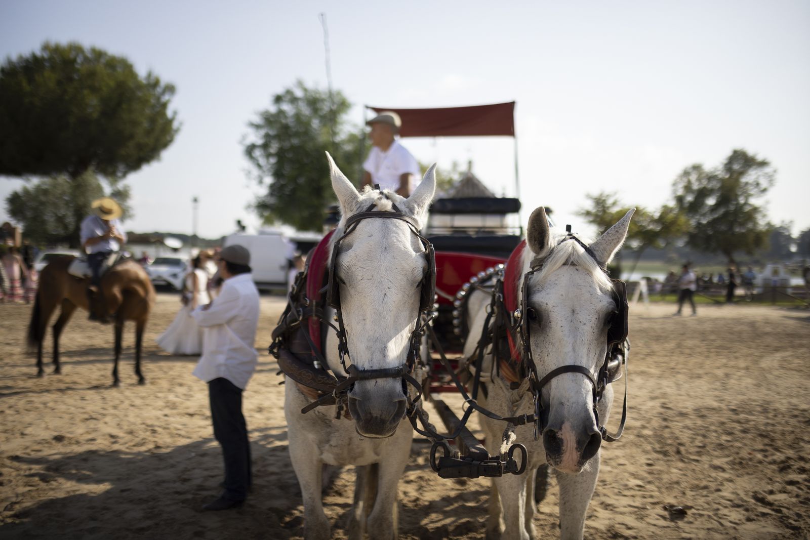 El Rocío 2023: Imágenes de la presentación de las Hermandades y ambiente en la aldea