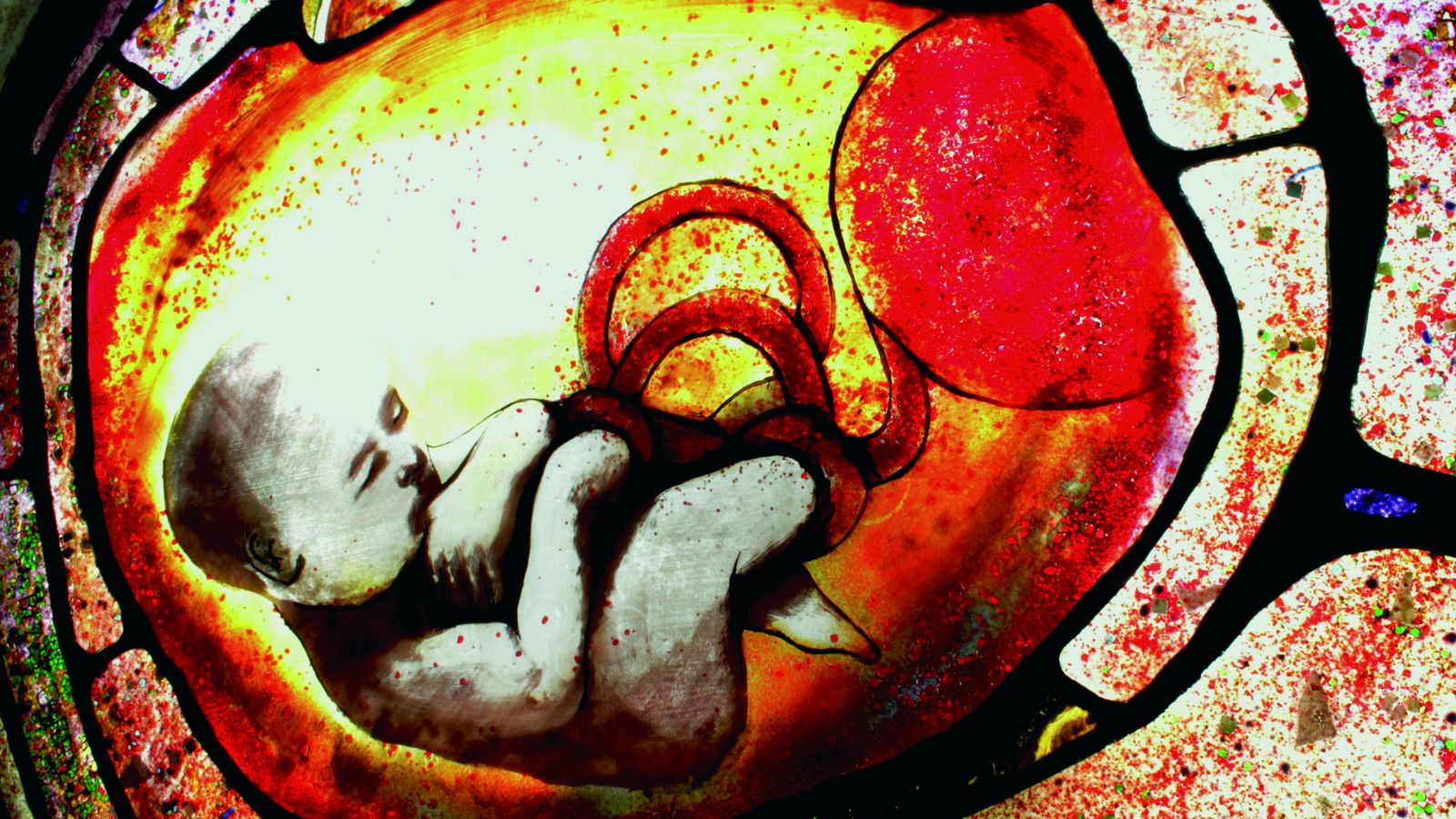 Vidriera para una vida