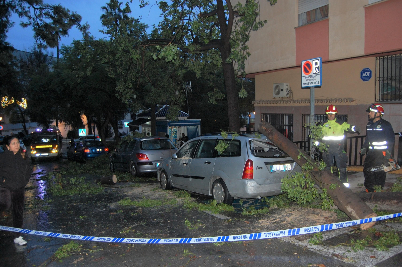 El vehículo siniestrado por la caída de un árbol en la calle Juan XXIII. El vehículo siniestrado por la caída de un árbol en la calle Juan XXIII.