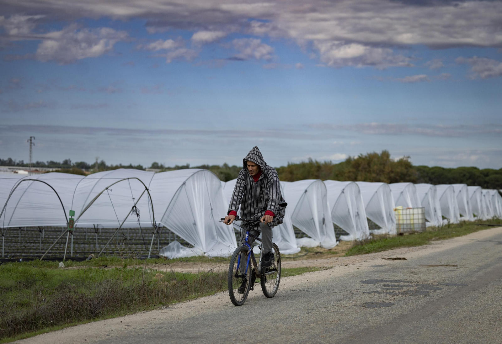 Las fotos de los cultivos en Doñana después del acuerdo sobre la regulación de regadios
