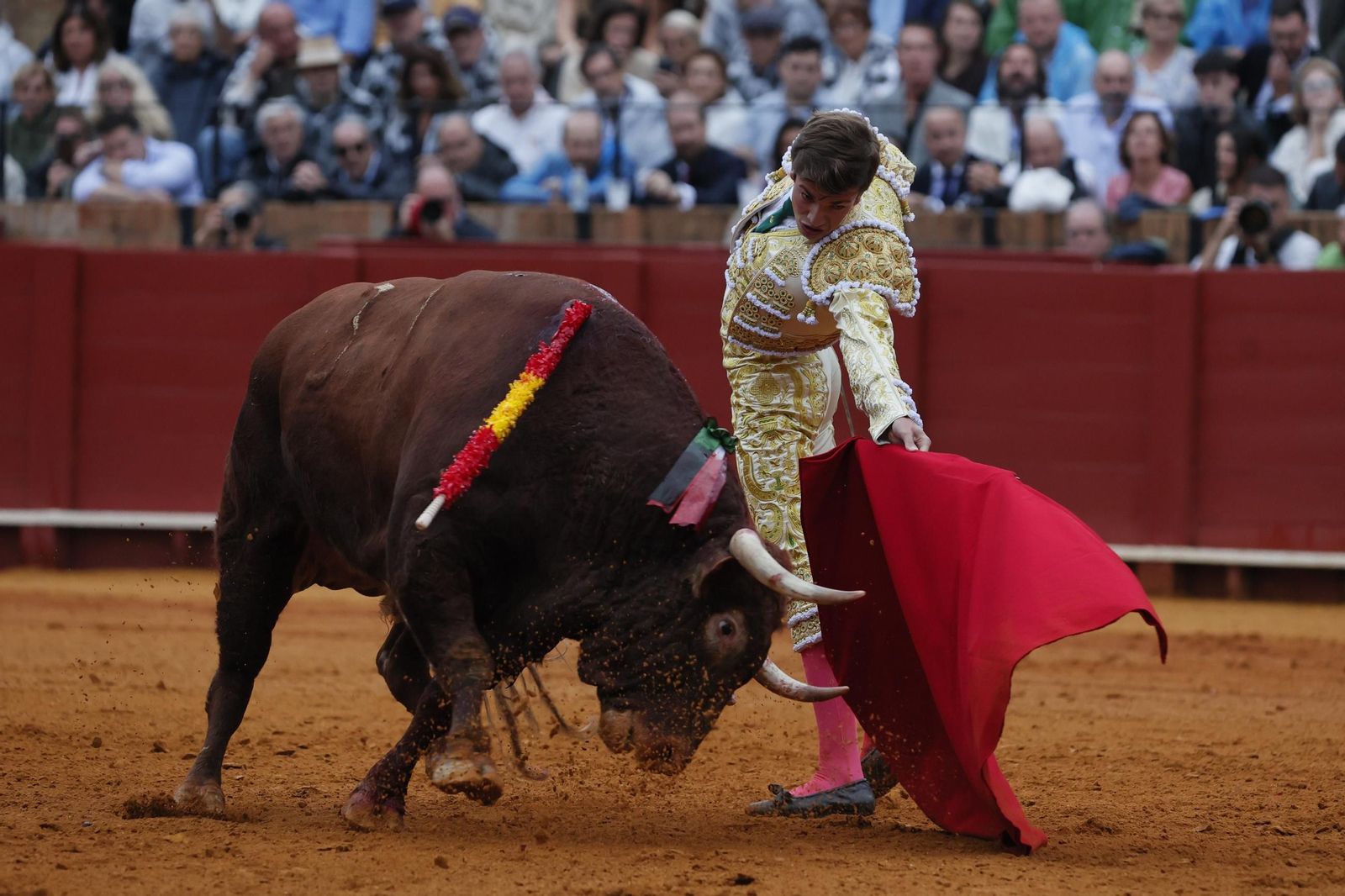 Las imágenes del festejo