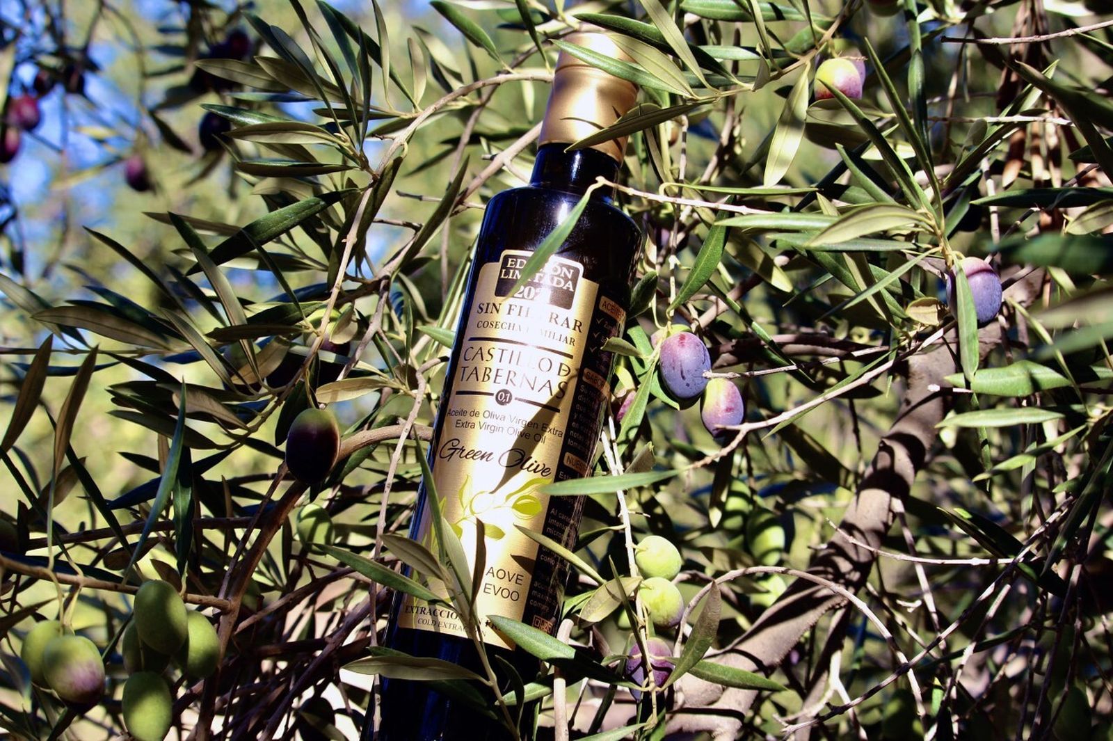 El aceite de la almazara almeriense Castillo de Tabernas