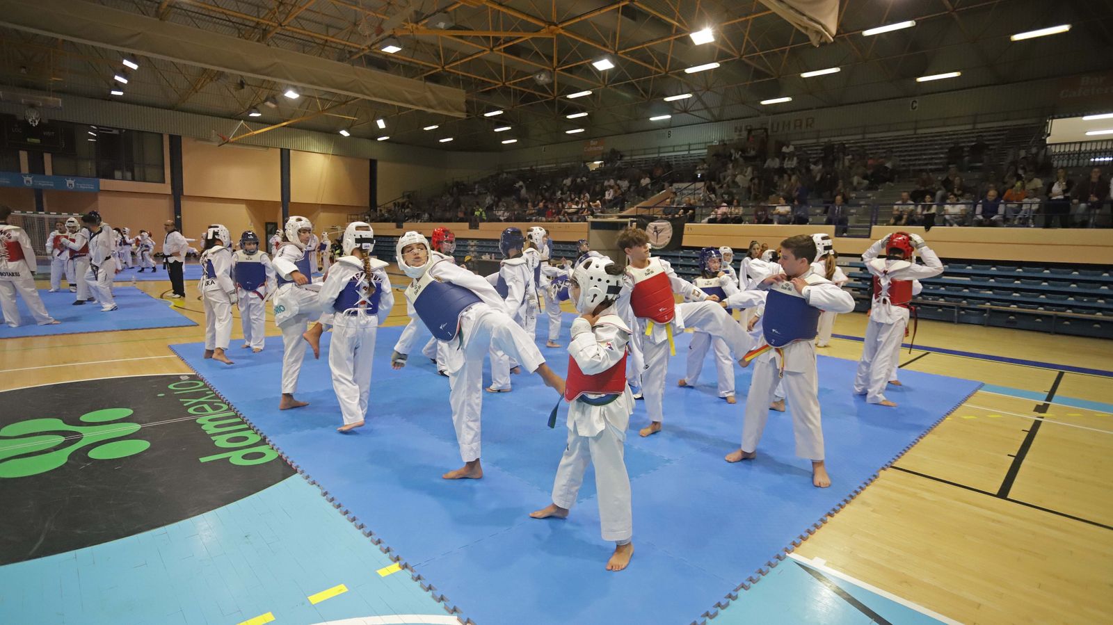 Fotos del encuentro "Campeonato Promoción Deporte Base" de Taekwondo en Algeciras