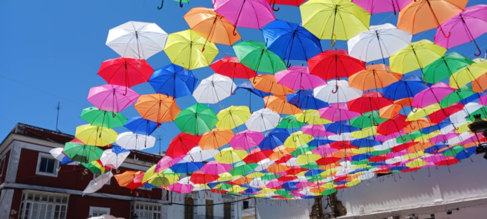 Se caen los paraguas de Calleja