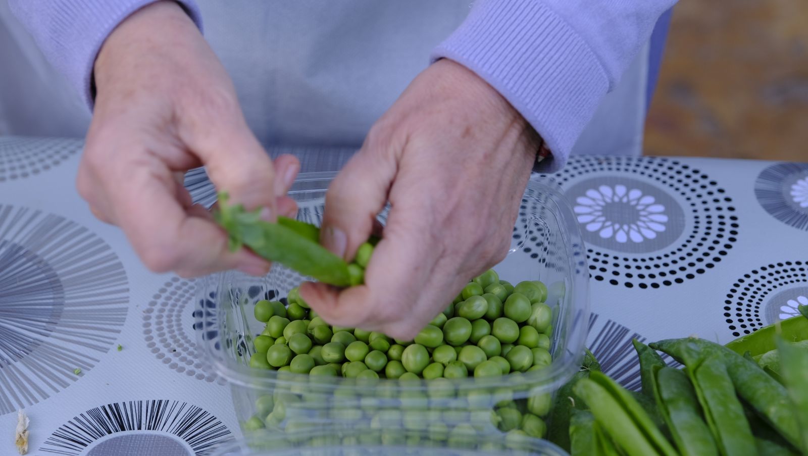 Imágenes de las Jornadas de Présules y Tirabeques en Dalías