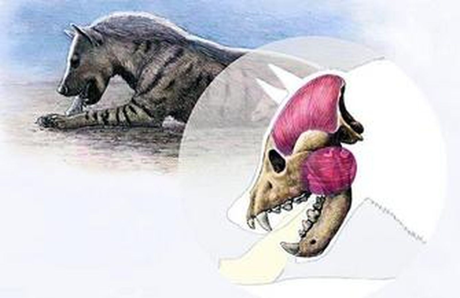 Excavación de Venta Micena en 2005 (Jordi Mestre/IPHES).