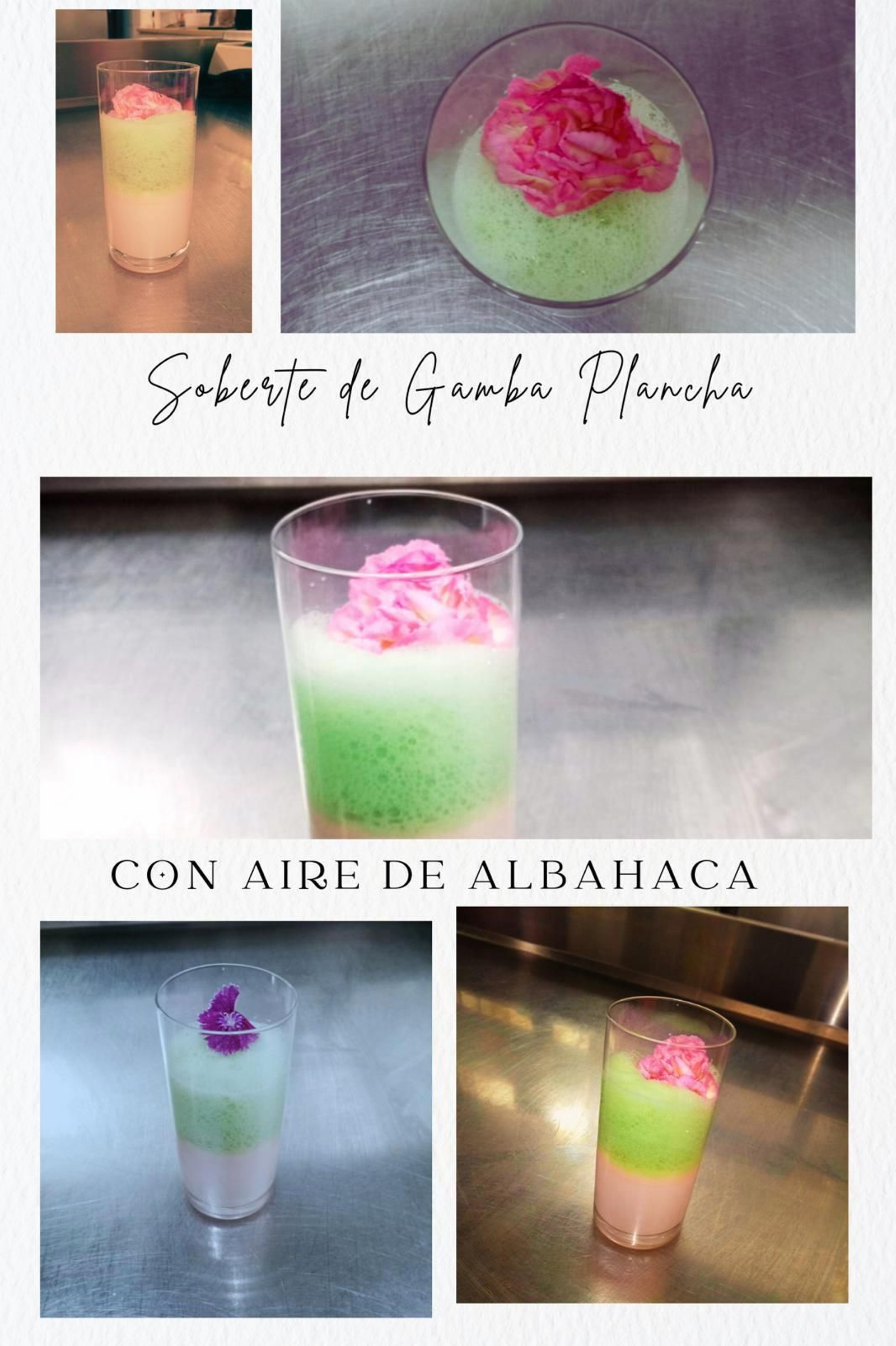 Sorbete de gamba a la plancha con aire de albahaca Sorbete de gamba a la plancha con aire de albahaca