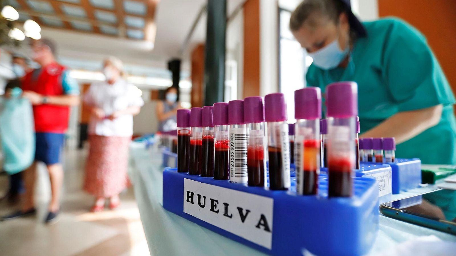 Sangre donada en la última macrocolecta de sangre de Huelva.