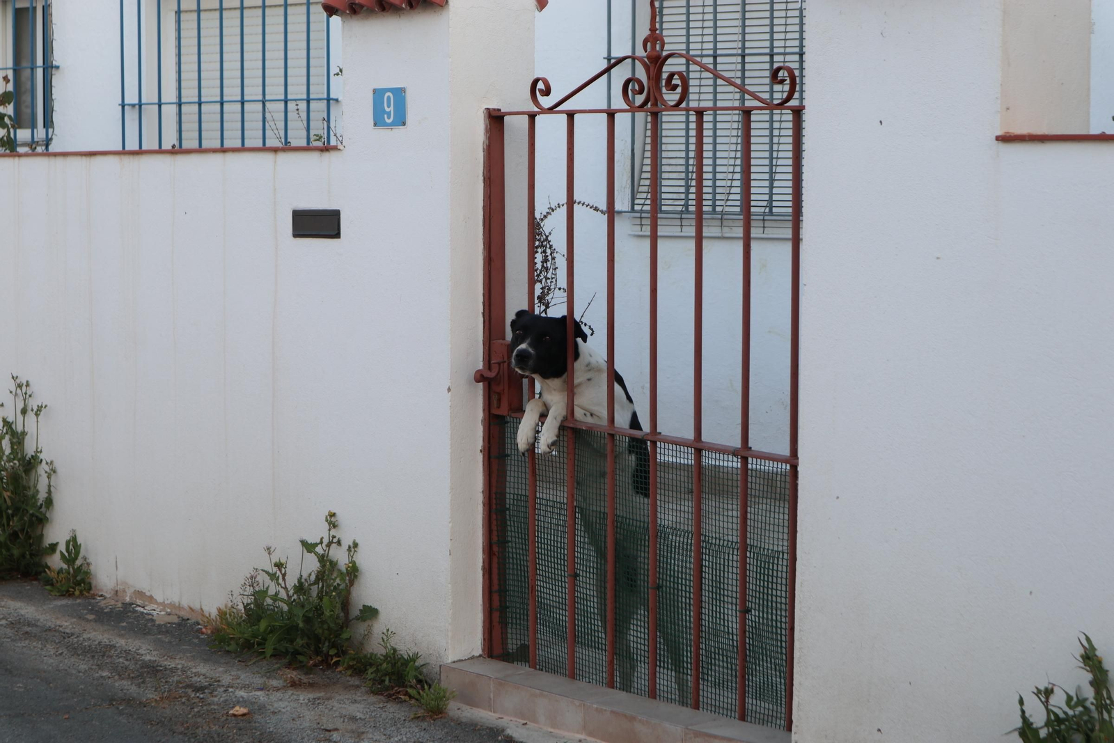 Barrio a barrio: La Ribera, en imágenes