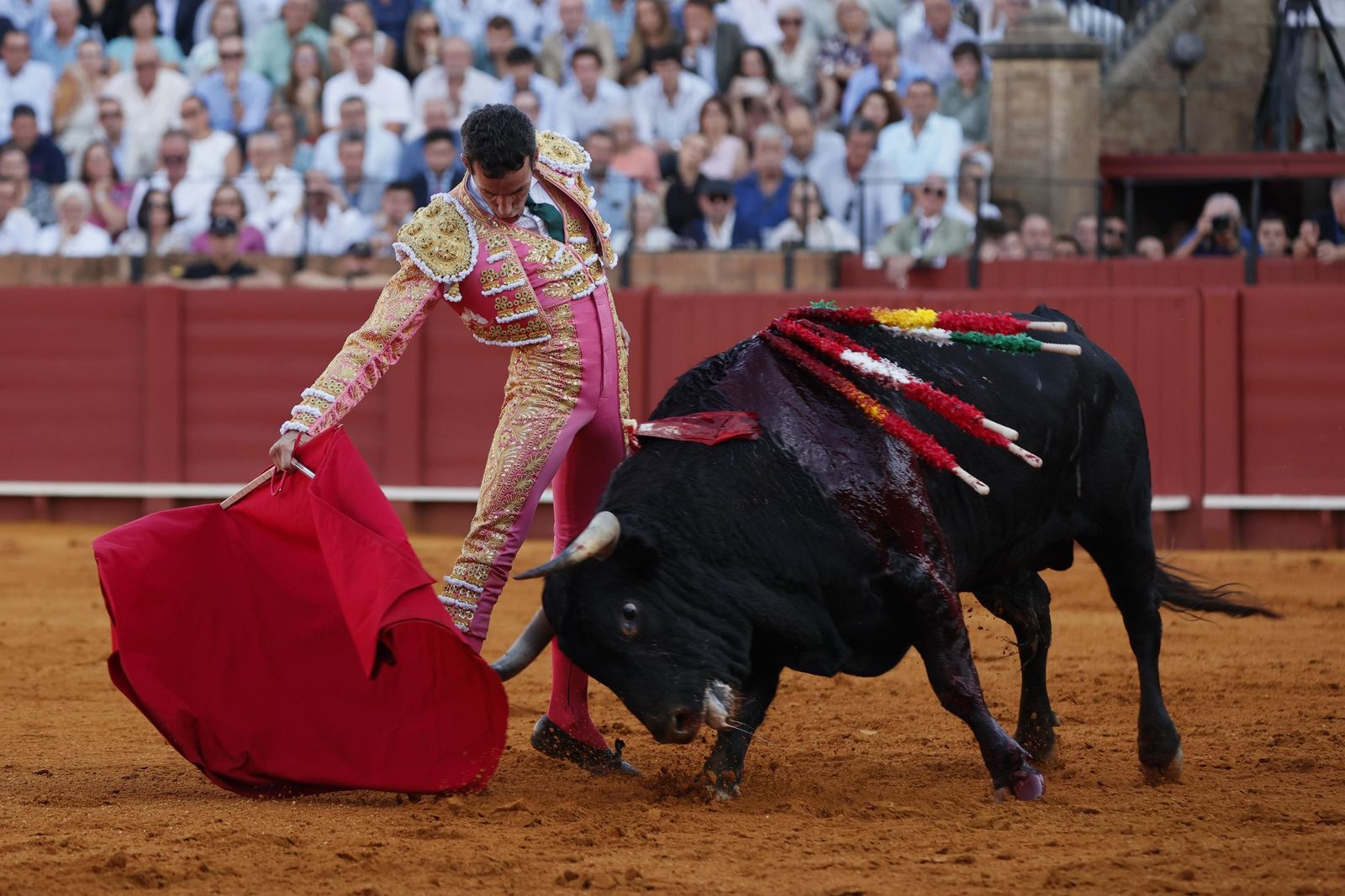 Las imágenes del primer festejo de San Miguel