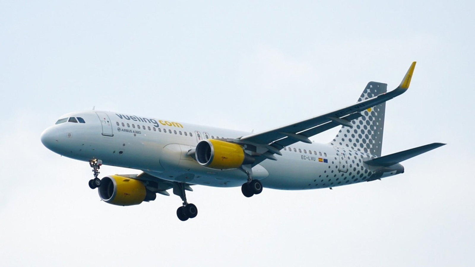 Un avión de la compañía en pleno vuelo.