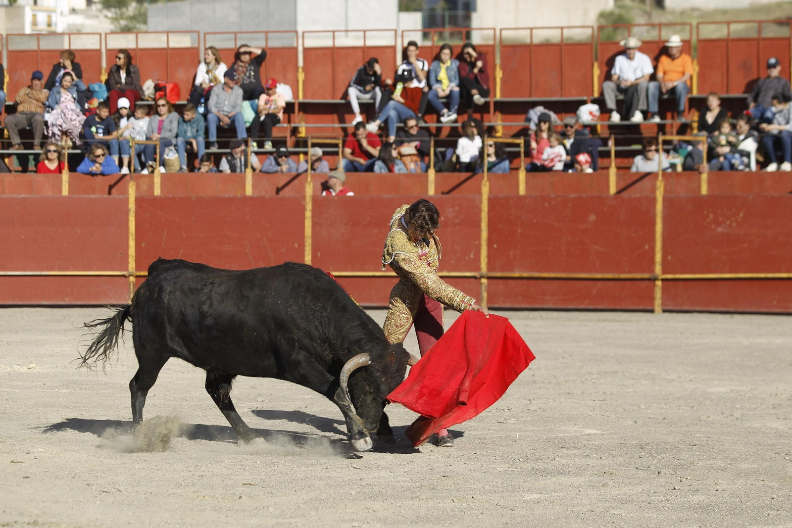 Fotogalería Novillada Fiestas de Abrucena