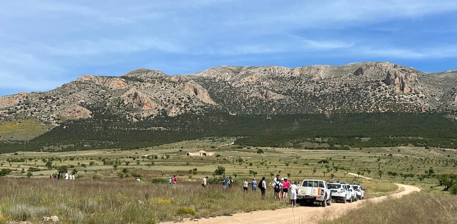 Jornada de reforestación.