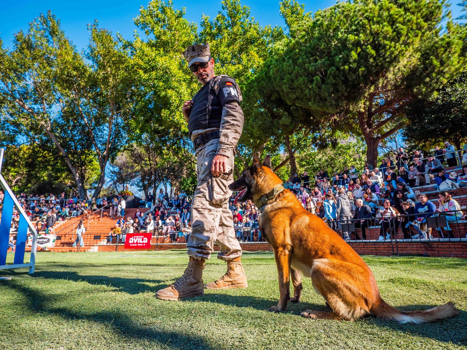 Las imágenes de San Antón 2025 en San Fernando