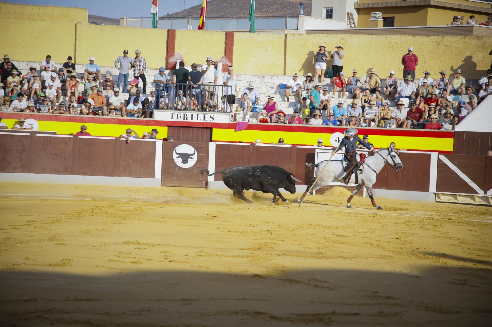 Corrida de toros Berja con un toro indultado, en imágenes