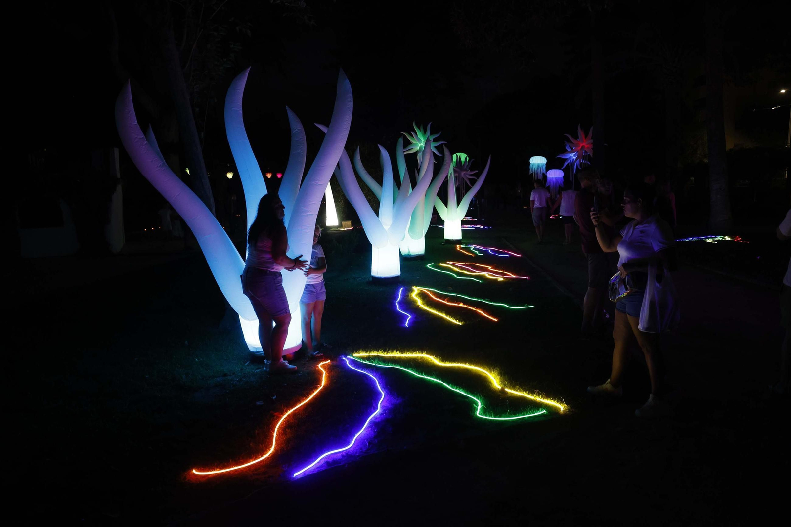 Fotos de los jardines mágicos de la Noche en Blanco de La Línea