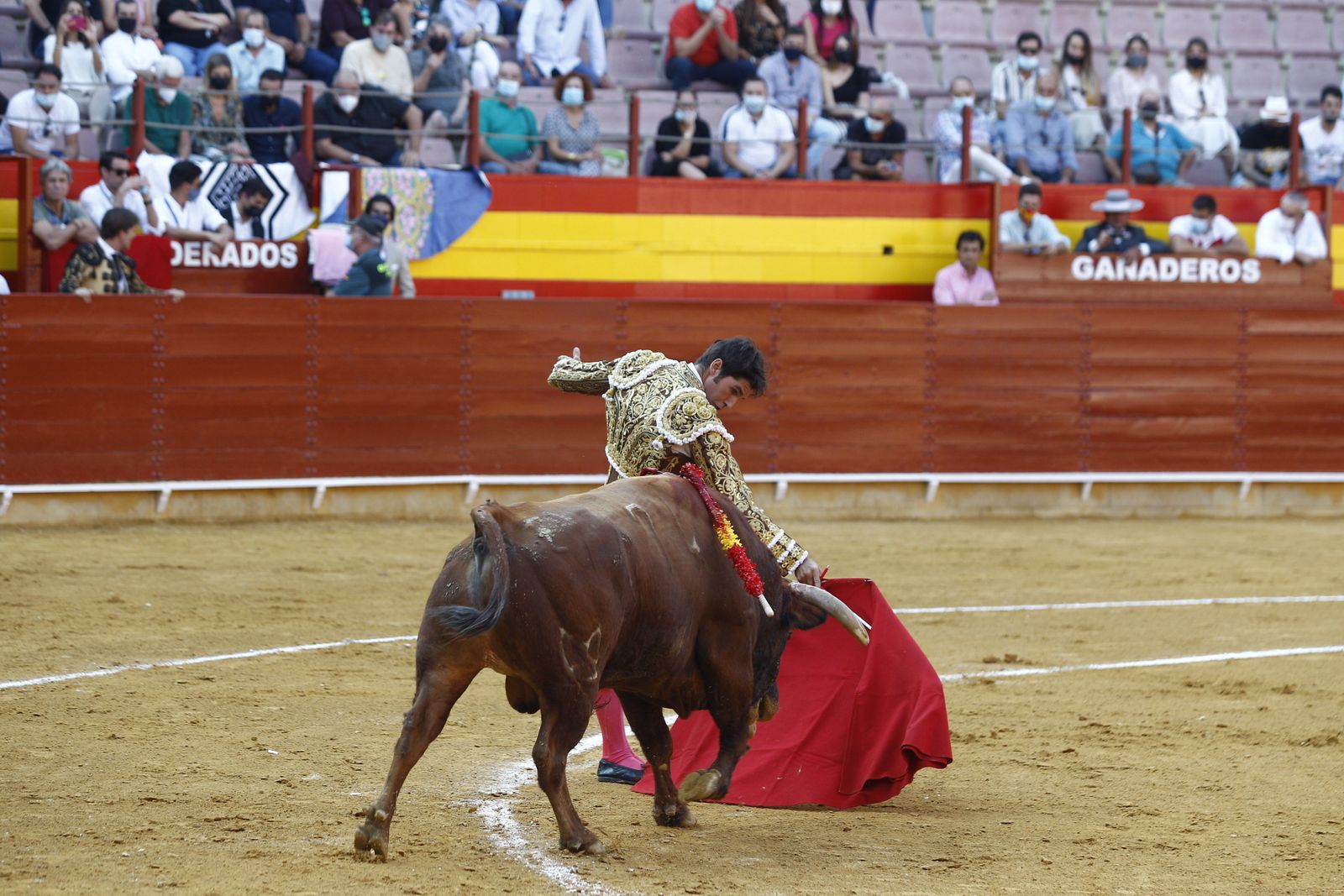 Fotogalería corrida de toros. Cayetano Rivera, Paco Ureña y Roca Rey. Roquetas de Mar.