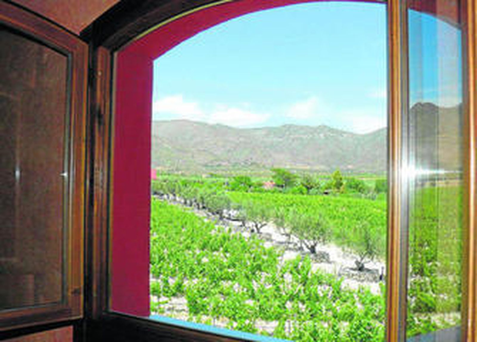 Tierra rica en viñas y bodegas