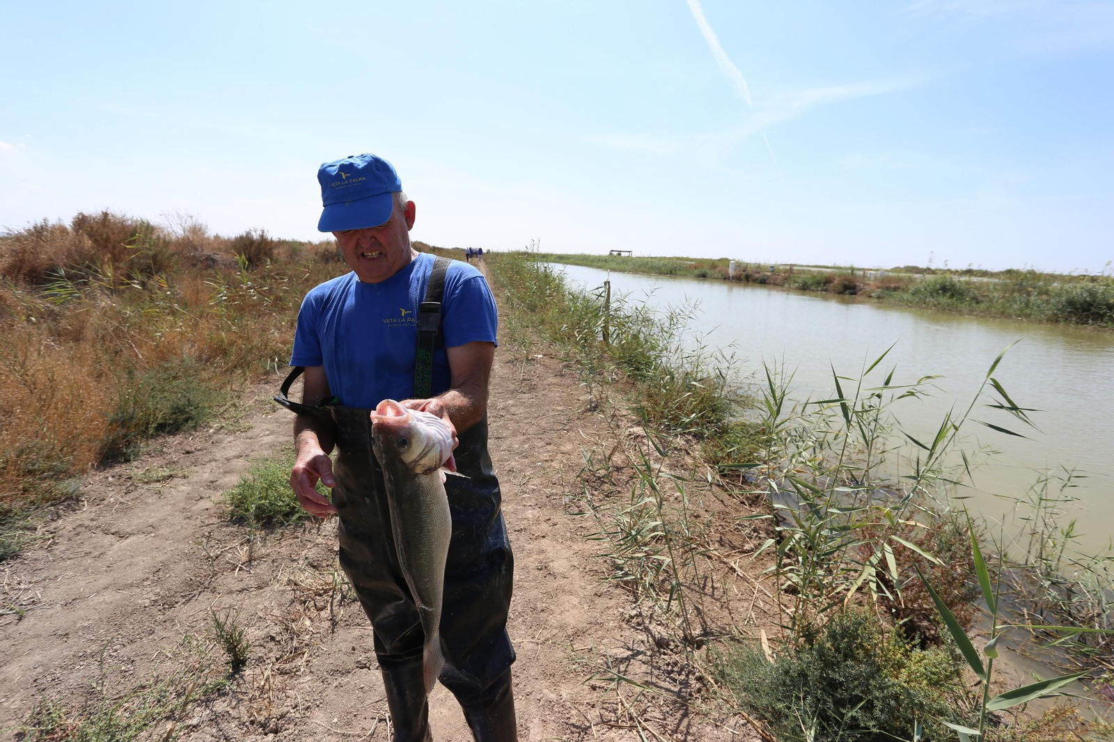 Dentro de la ruta del arroz en Sevilla: finca Veta la Palma