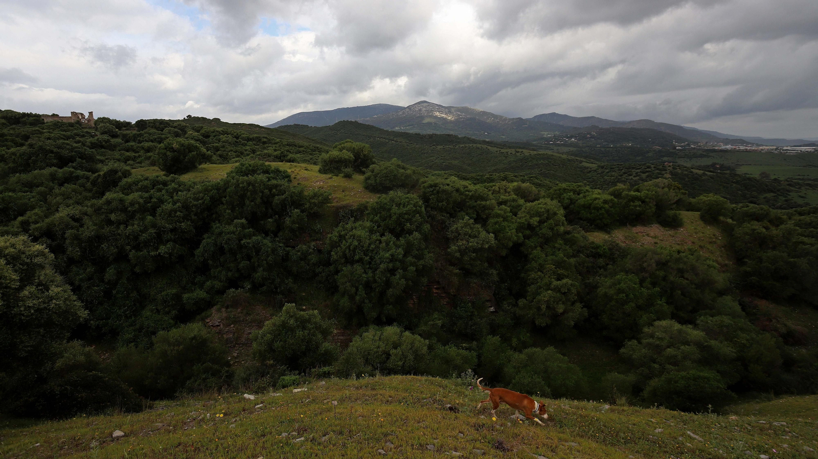 Fotos de la ruta de Fuente Urate en Algeciras