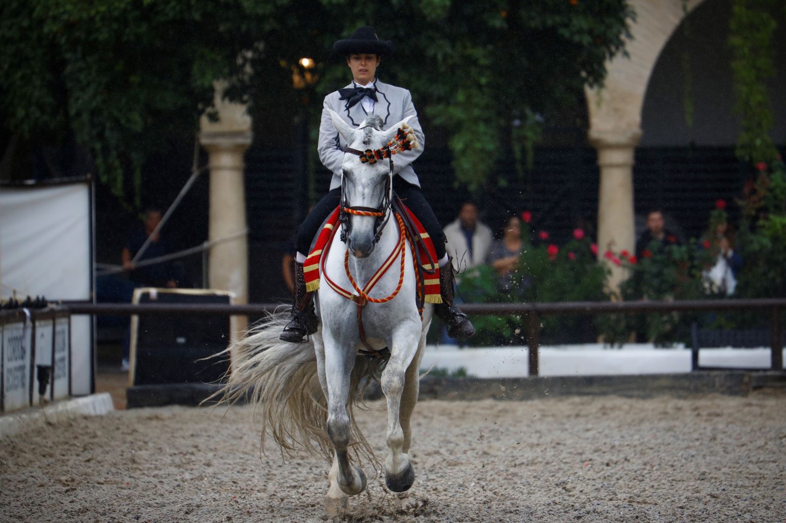 La celebración de la VI Copa de España de Alta Escuela en Córdoba, en imágenes
