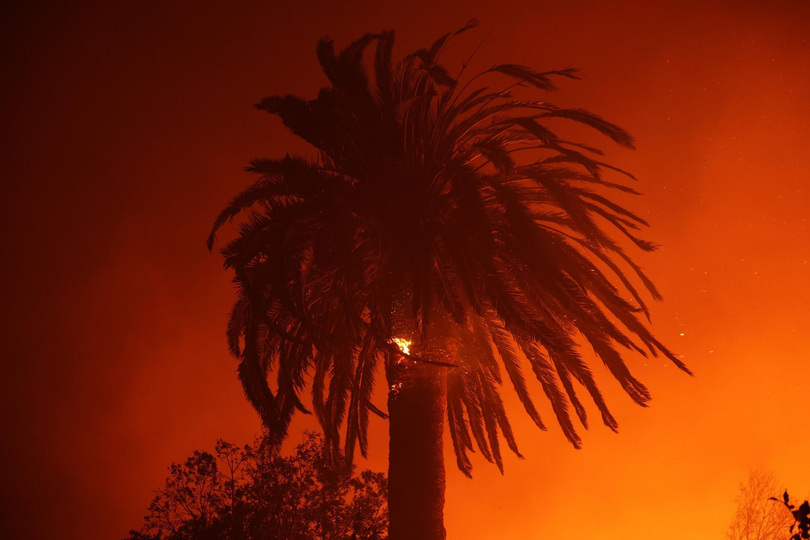 Las impactantes imágenes de los incendios de California