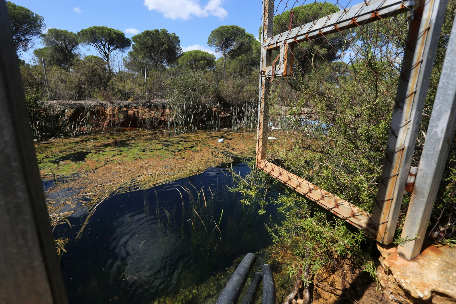 Imágenes del cierre de los pozos de Lucena por la Guardia Civil y la Confederación Hidrográfica del Guadalquivir