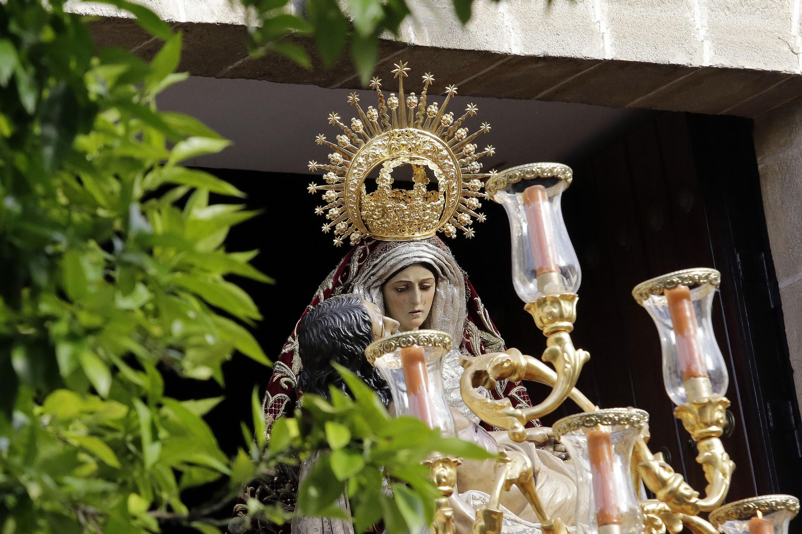 Las imágenes del Domingo de Ramos de Jerez