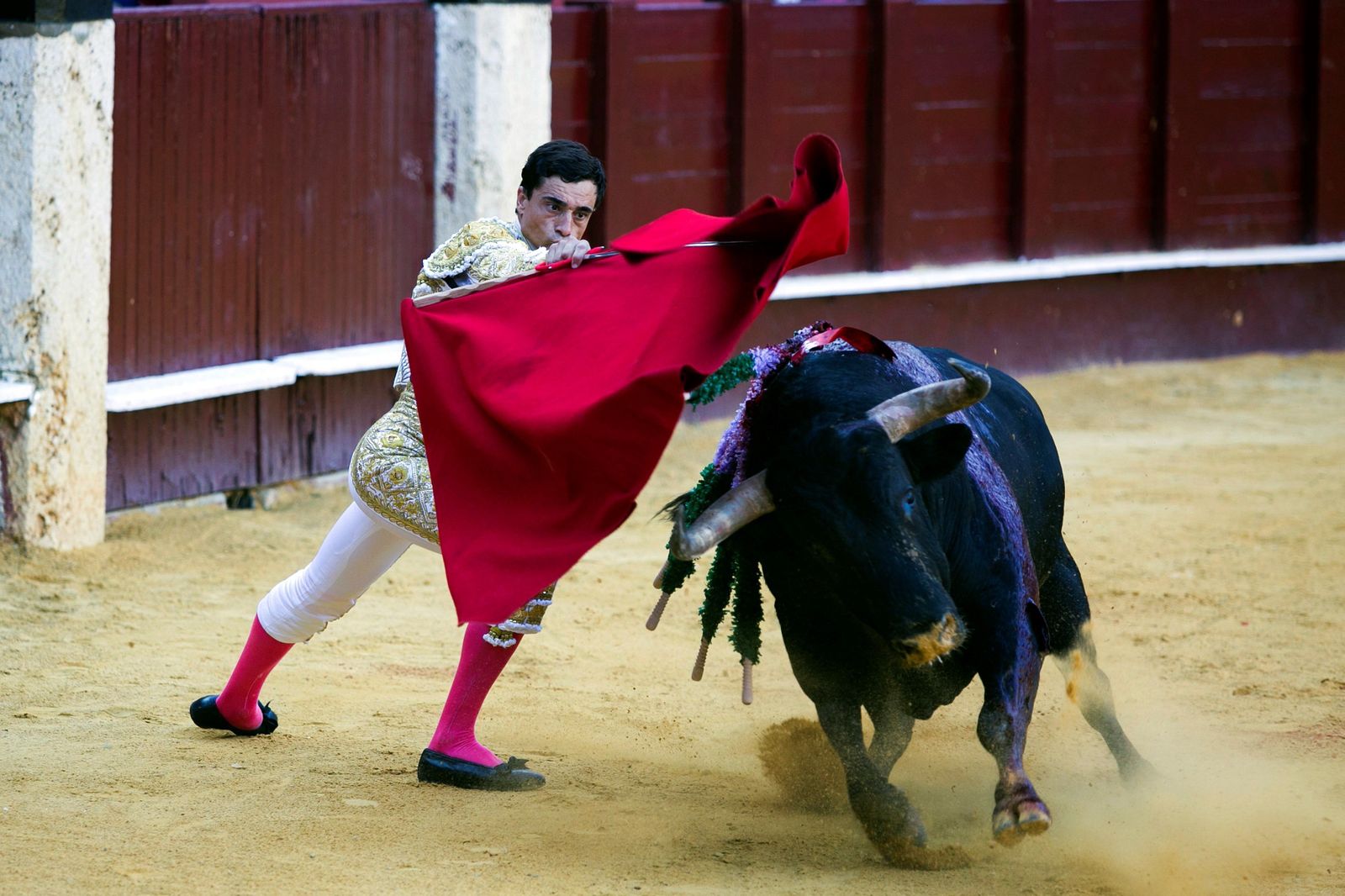 José Garrido inició la faena al primero de su lote, al que le cortó la única oreja de la tarde, de rodillas en los medios toreando con la derecha.
