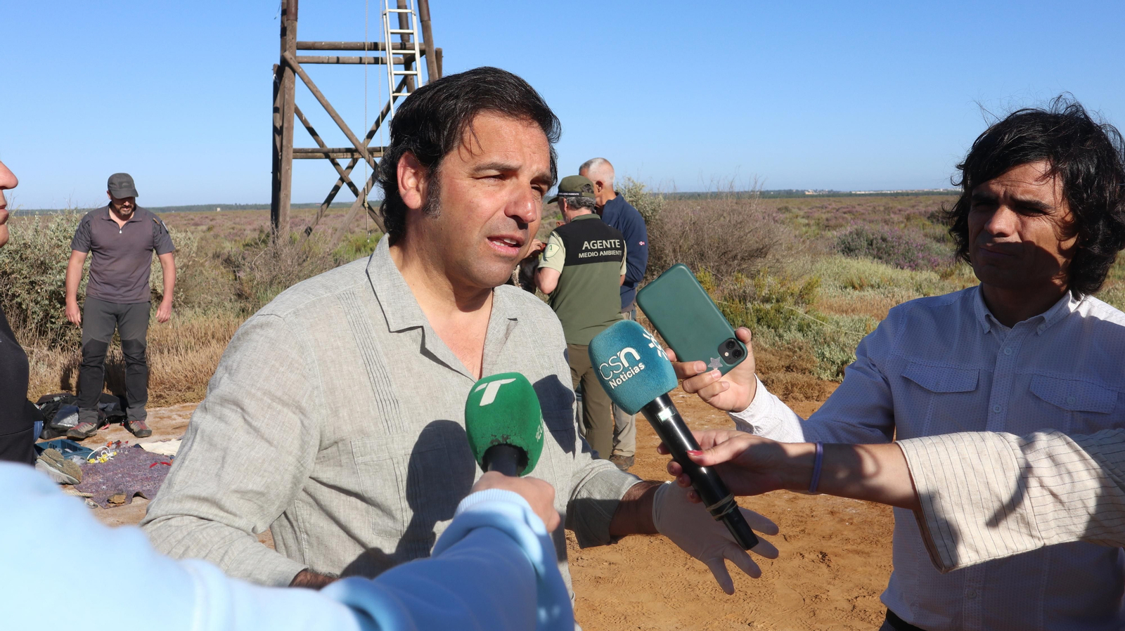 Anillamiento de tres pollos de águila pescadora nacidas en el Paraje Natural Marismas del Odiel