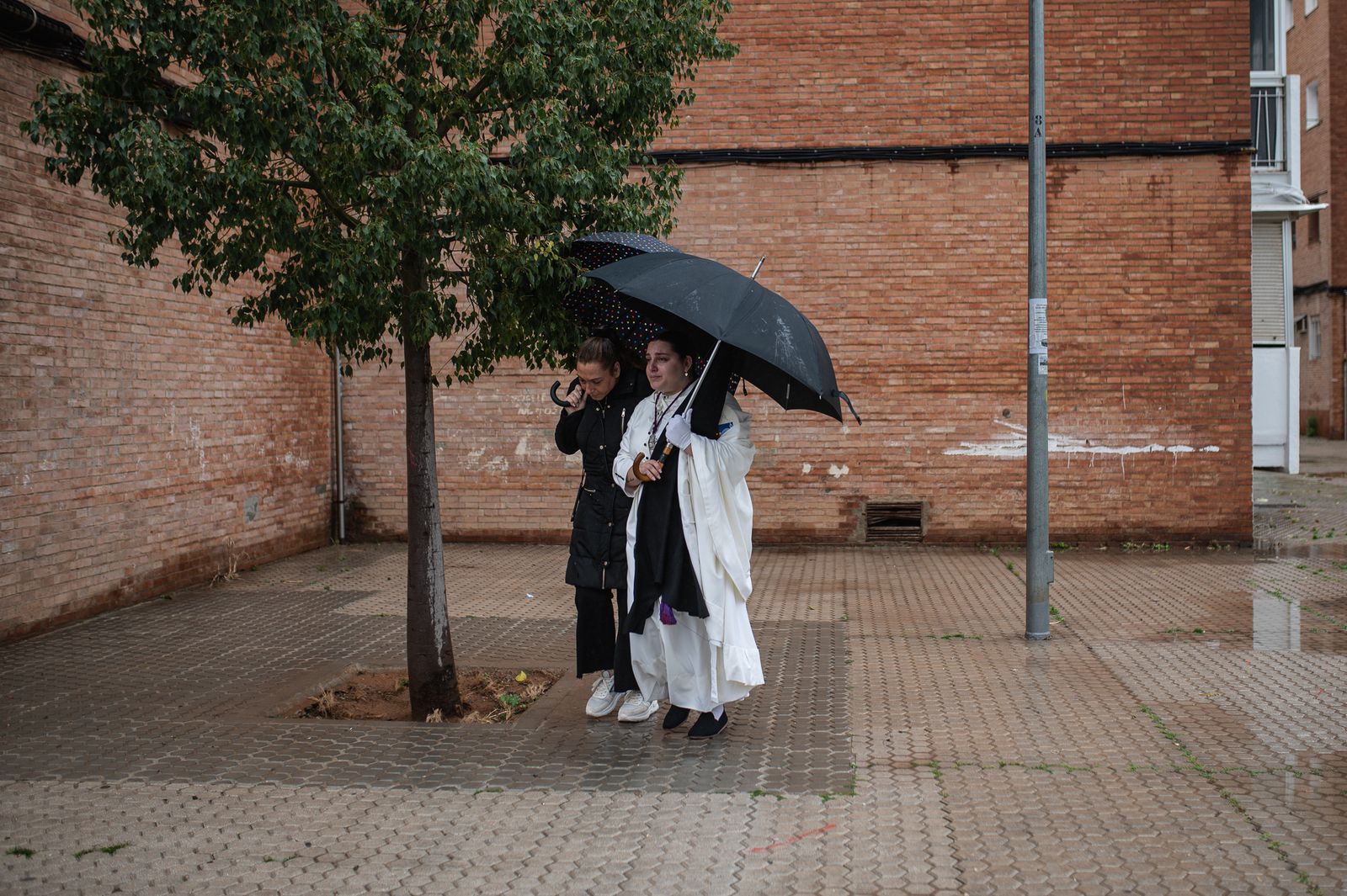 Las imágenes de la Hermandad de San Pablo en la Semana Santa de Sevilla 2024