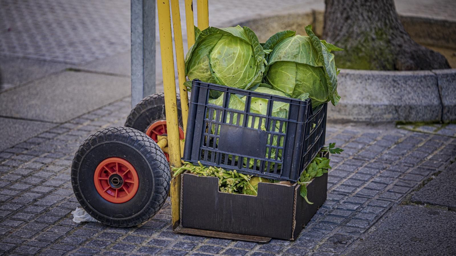 Verduras sobrantes, pero aprovechables, en el Mercado Central de Cádiz.