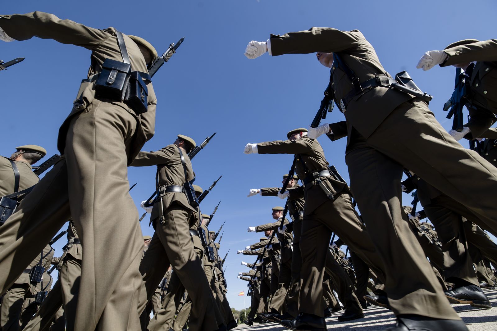 Las imágenes de la multitudinaria Jura de Bandera en Camposoto