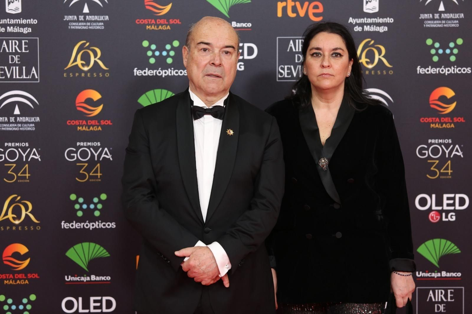 La alfombra roja de los Goya 2020 en Málaga
