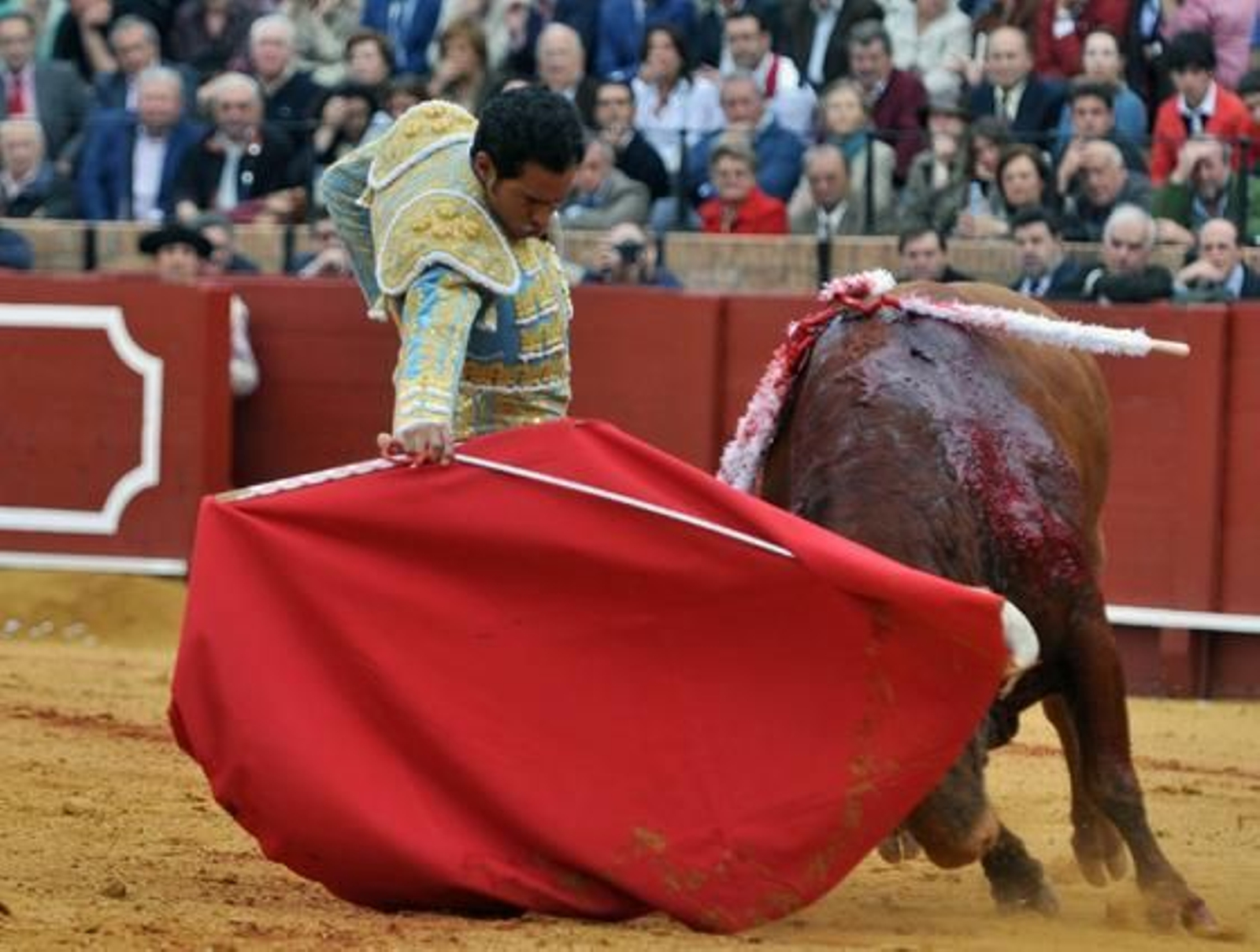 Muletazo de Bolívar en la séptima de abono.

Foto: Manuel Gómez