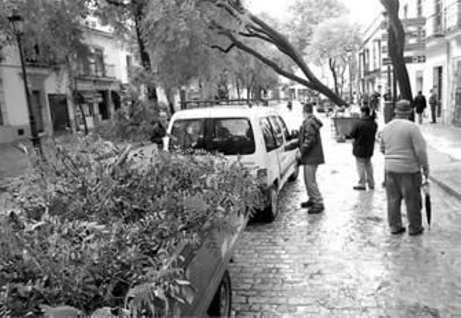 Trabajos de retirada de las ramas del árbol desplomado, ayer a mediodía en la calle Ancha.