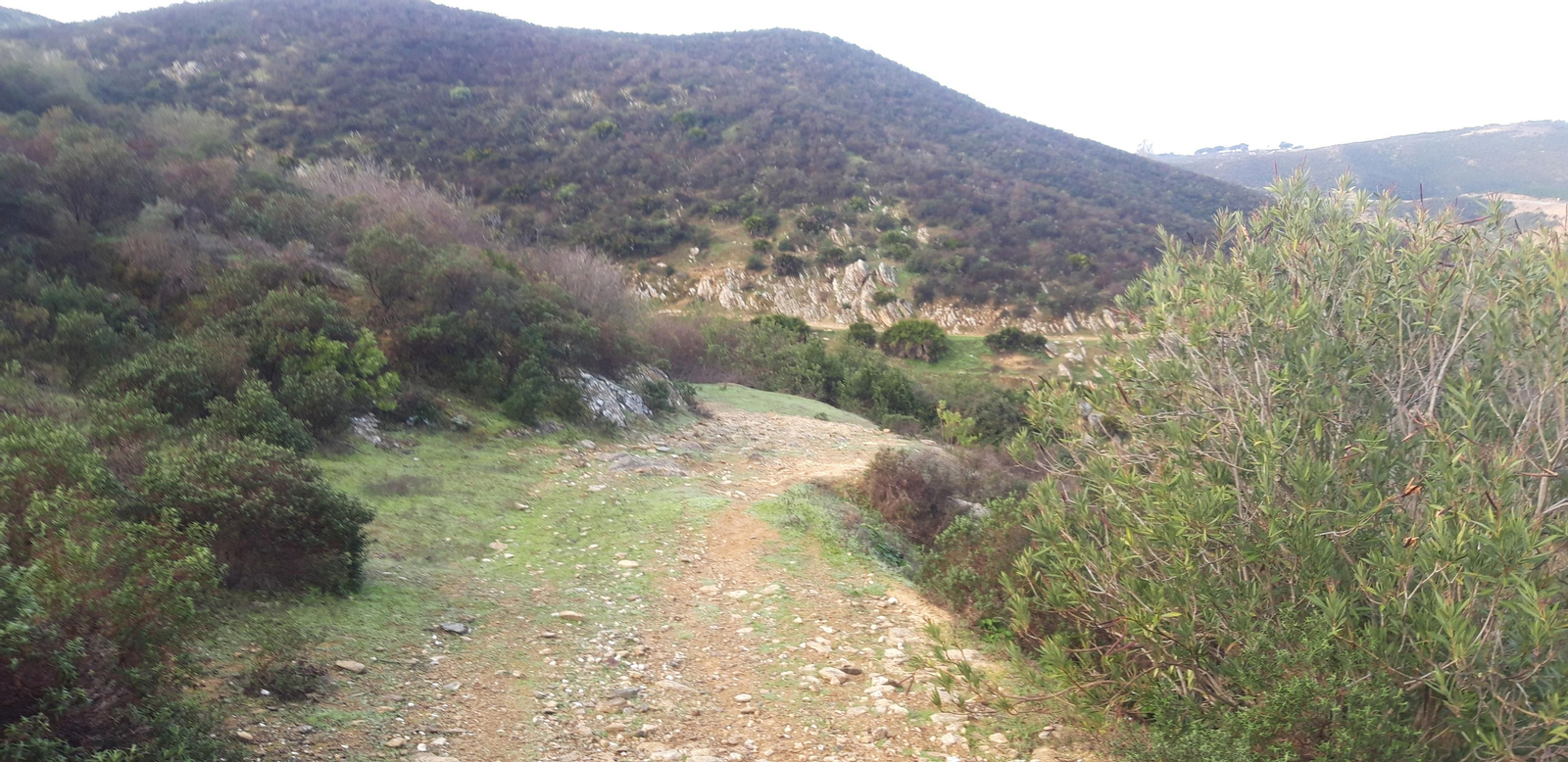El camino baja desde el pueblo hasta el nivel del agua.