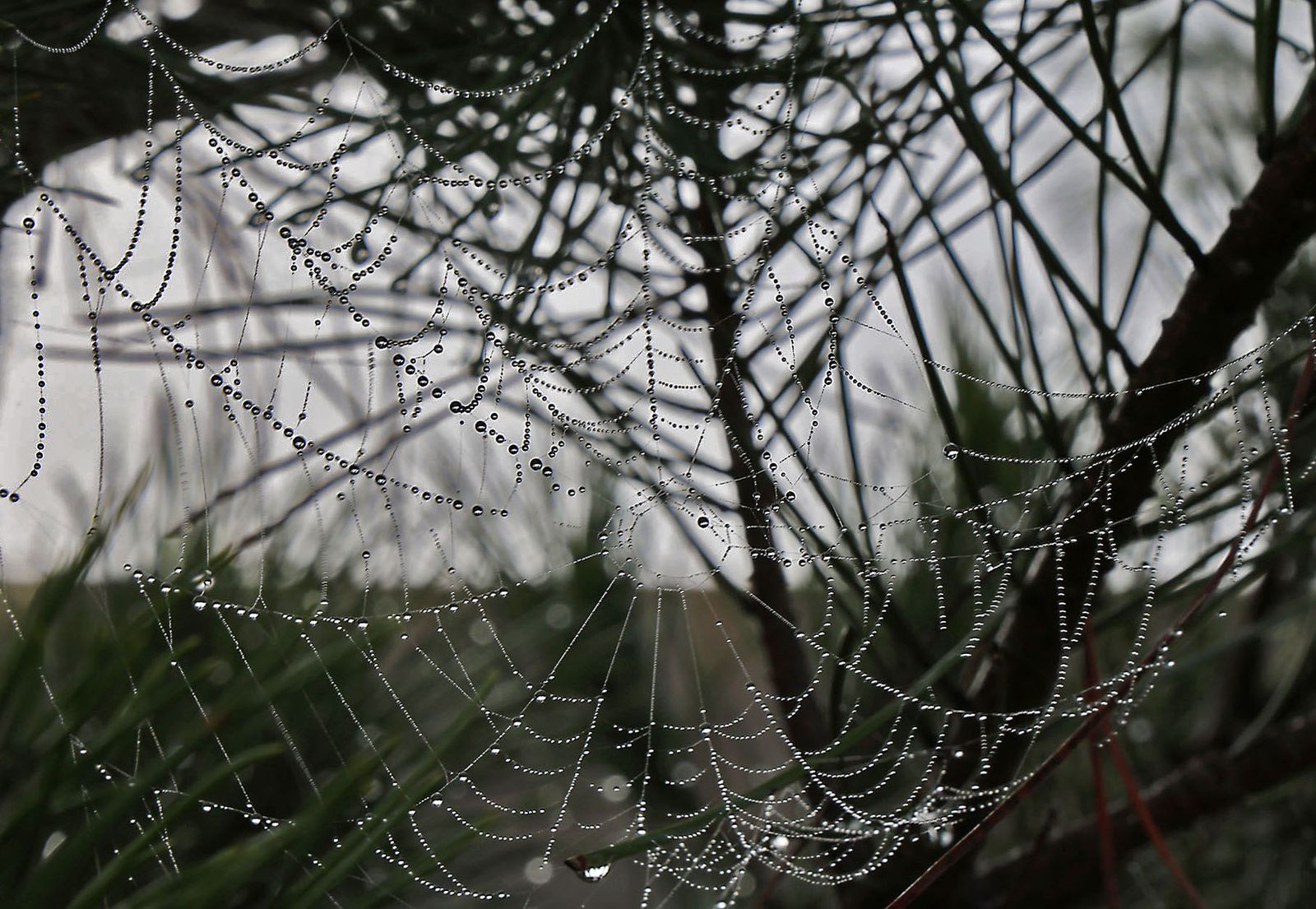 Imágenes de la espesa niebla durante la mañana en Huelva