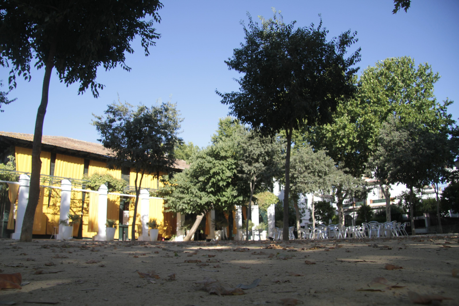 Plaza junto al Avelino, lugar de concentración de los aficionados del Betis cada día de partido.