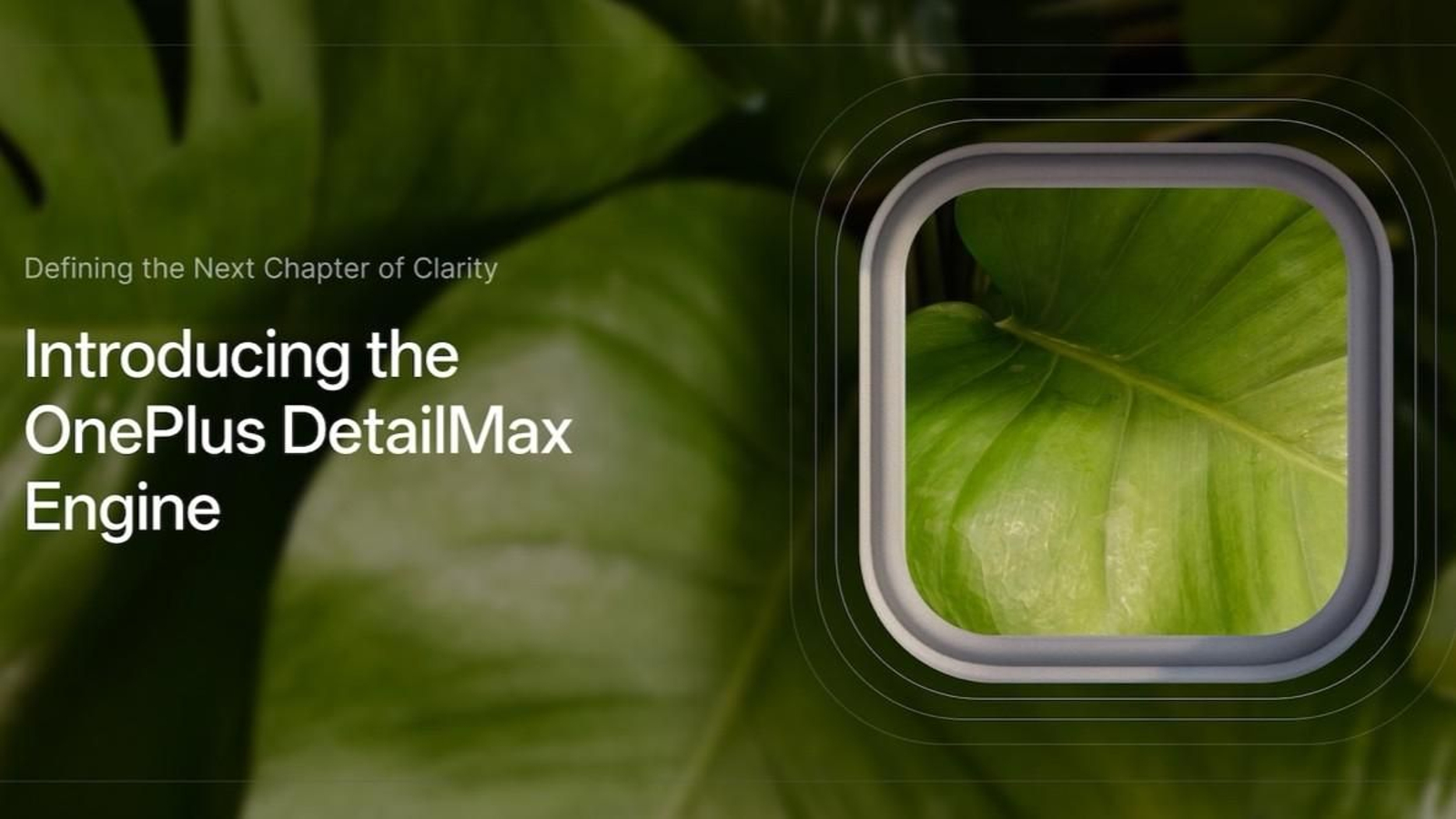 OnePlus DetailMax Engine