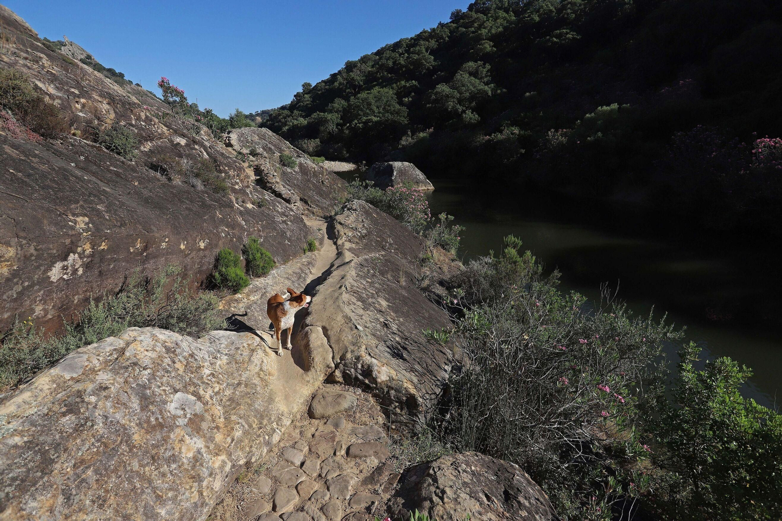 Ruta río Hozgarganta Ruta río Hozgarganta