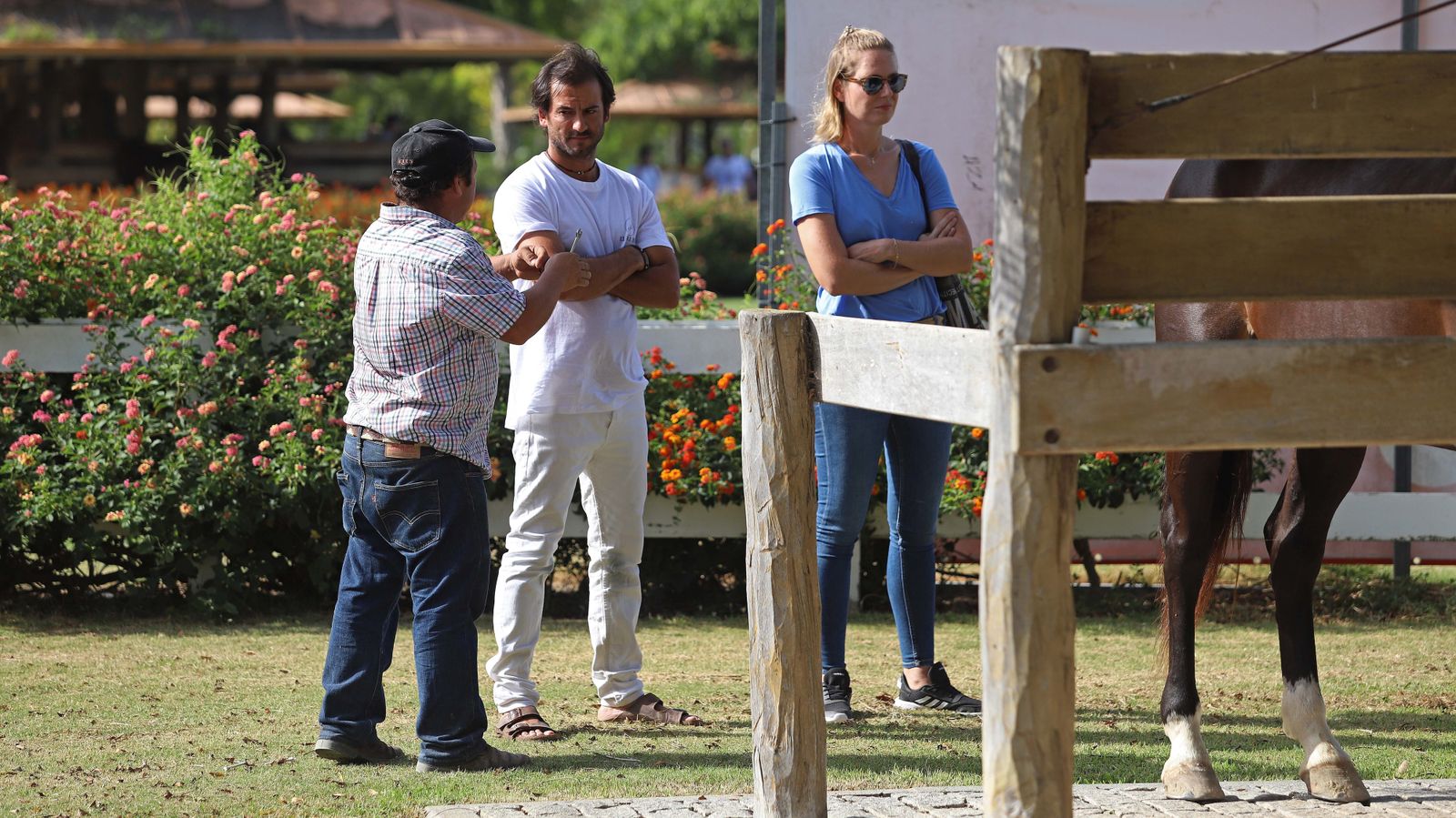 El polo desde dentro