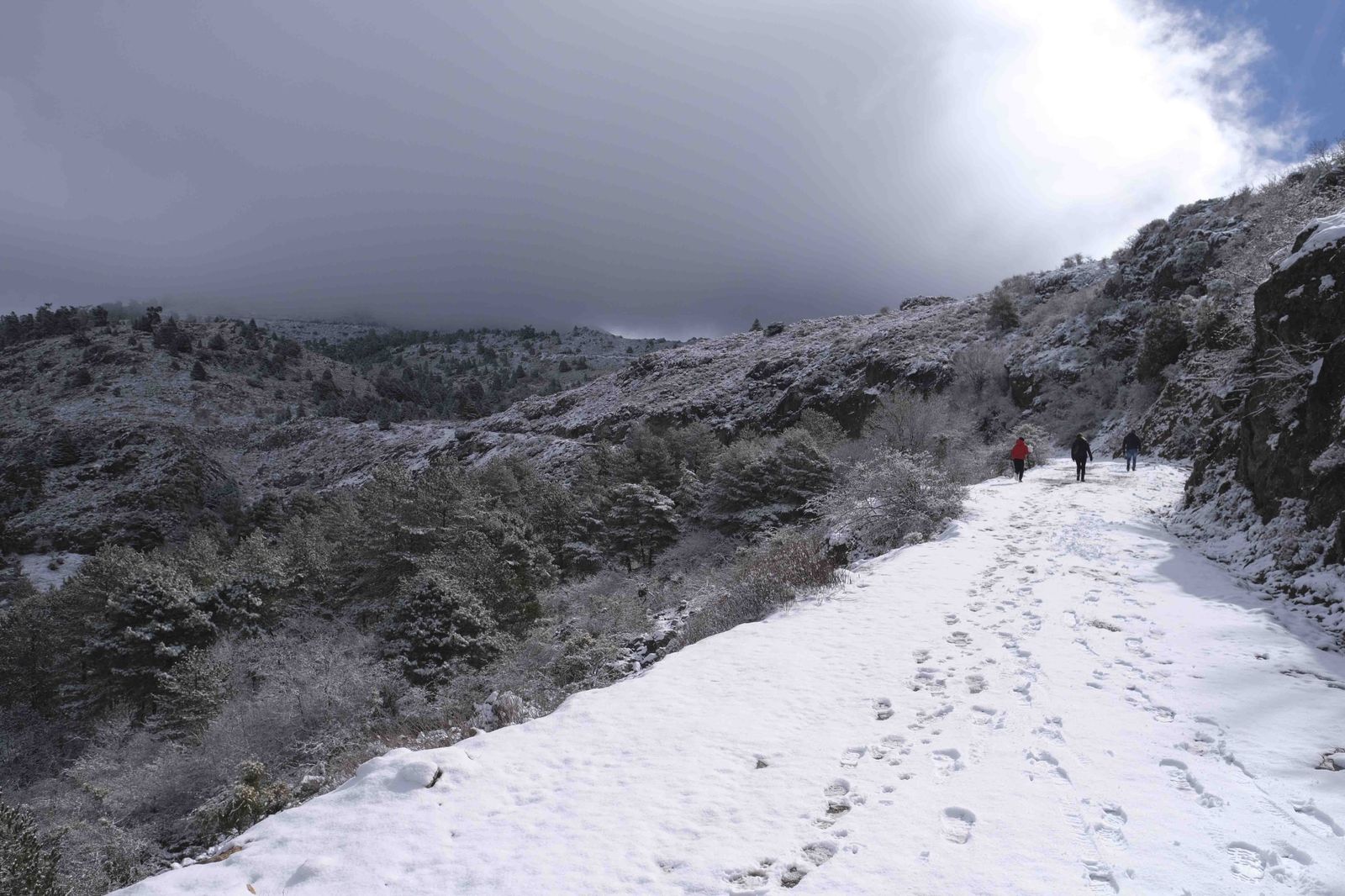 Nevada en la Serranía de Ronda, en fotos.