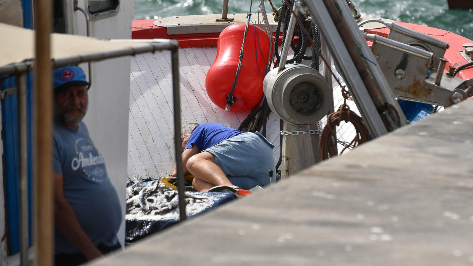 Las fotos del puerto pesquero de Tarifa