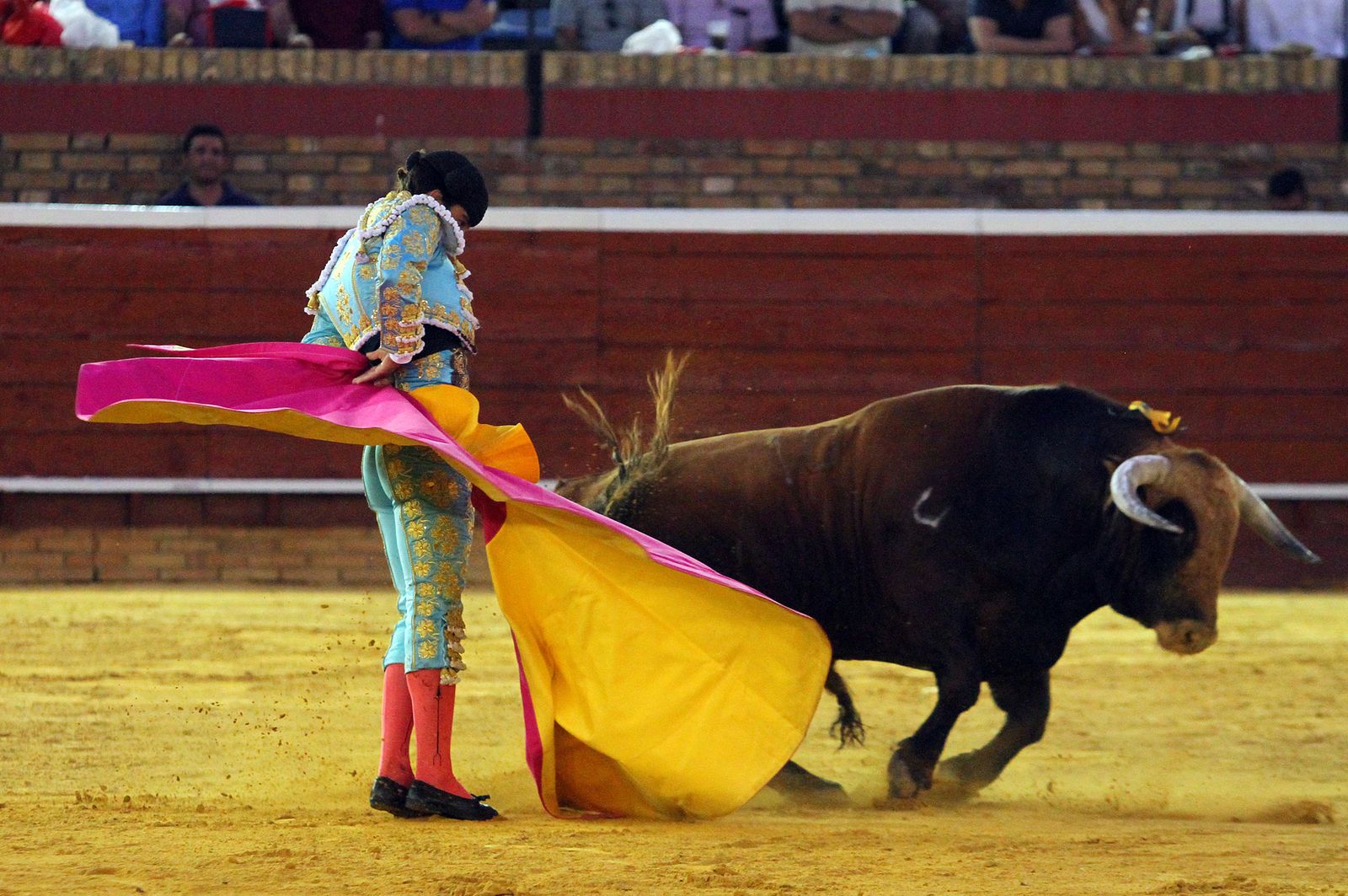 Imágenes de la Novillada de Rafael Serna, Emilio Silvera y Rodrigo Molina.