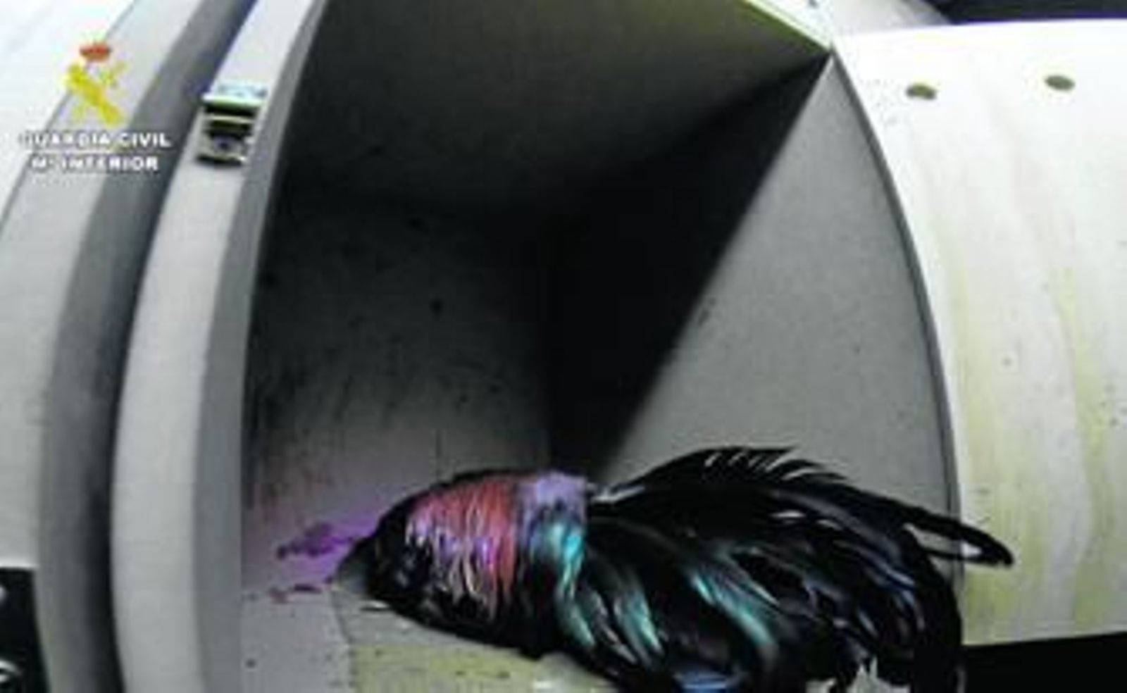 Agentes de la Policía Local en la avenida de la Estación.